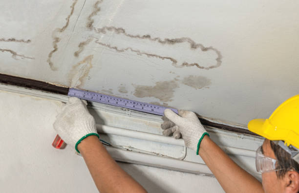 Reliable Water Damage contractor in Moreland, GA by Water Damage Irwin